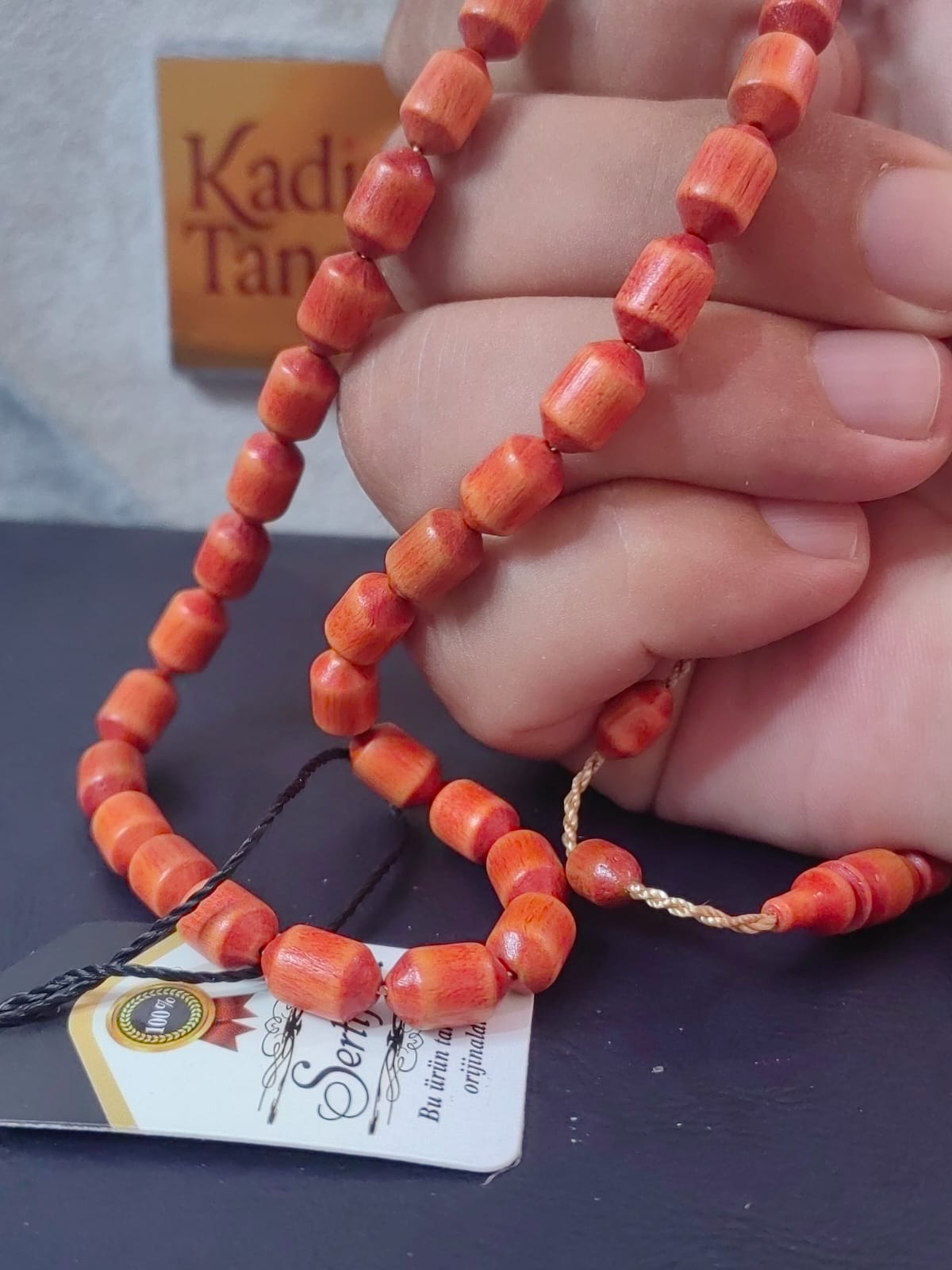 Açık Sürmeli Gürgen Ağacı
