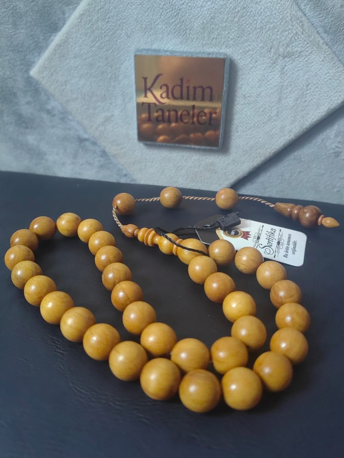 Kara Kayın Ağacı (İri Boy)