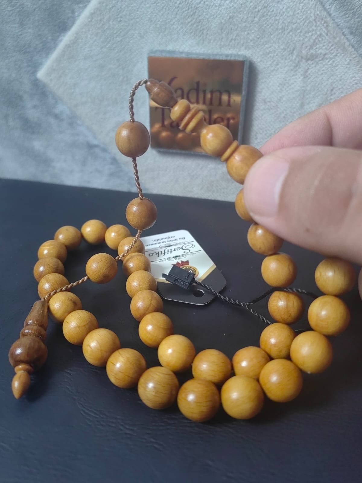 Kara Kayın Ağacı (İri Boy)