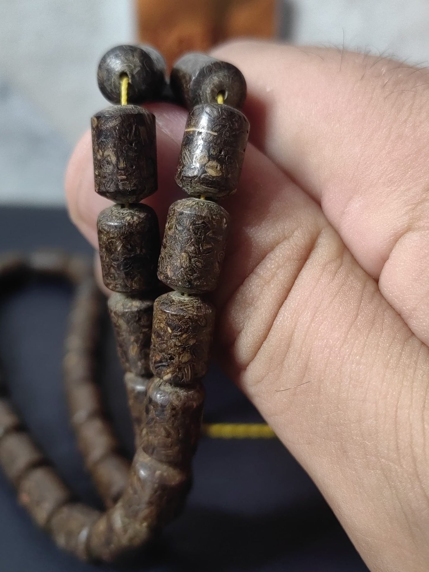 Mis Kokulu Karanfil Ağacı