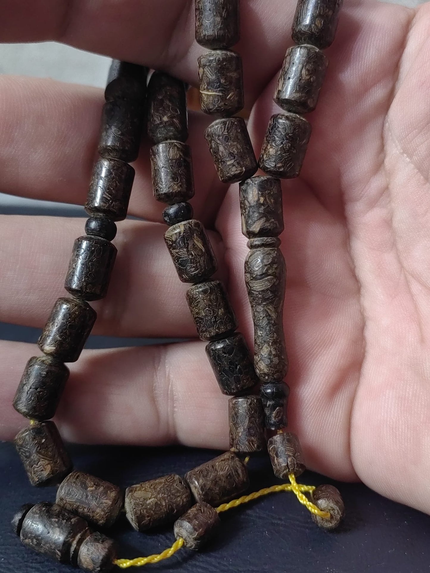 Mis Kokulu Karanfil Ağacı
