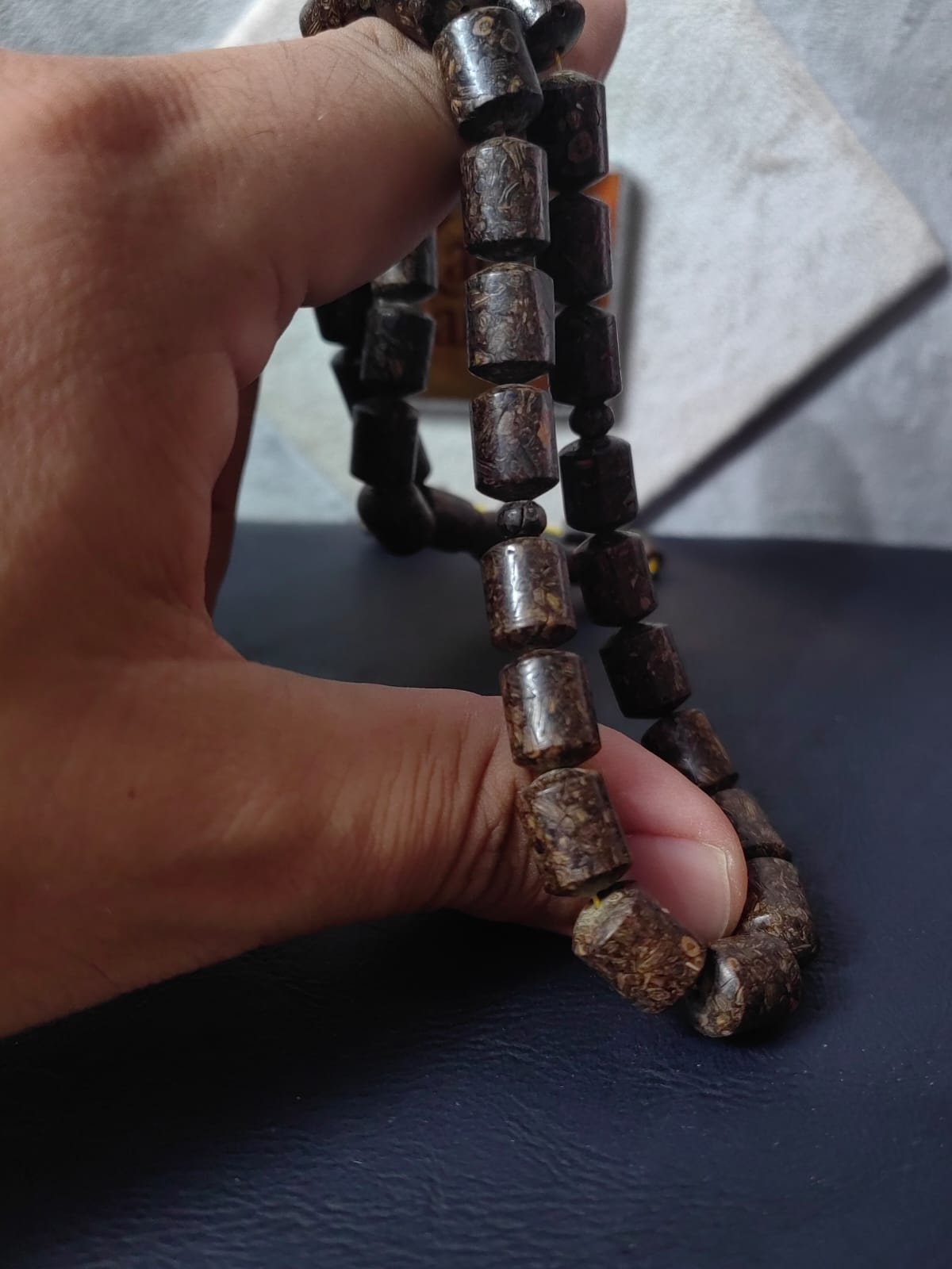 Mis Kokulu Karanfil Ağacı İri Boy