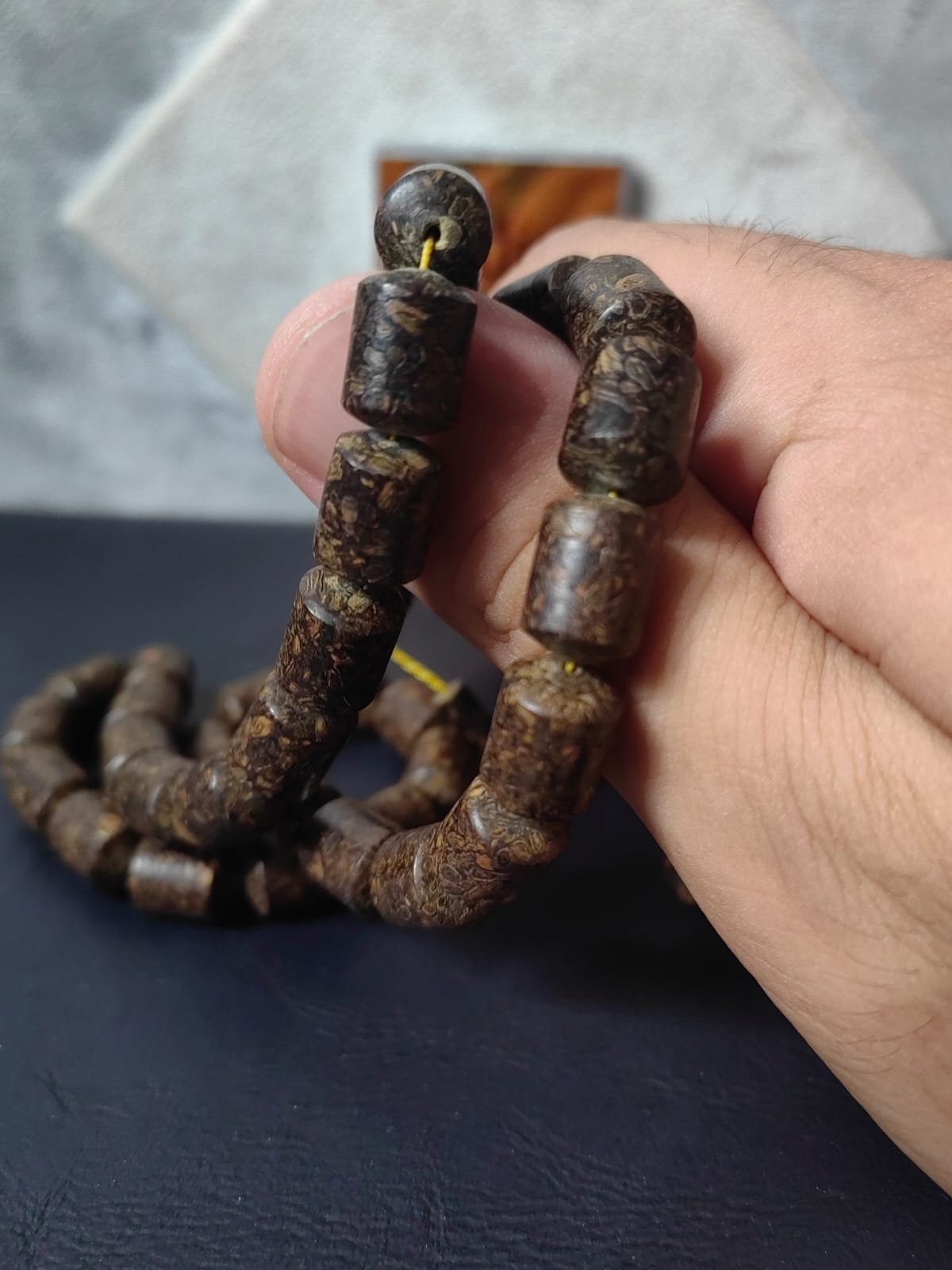 Mis Kokulu Karanfil Ağacı İri Boy