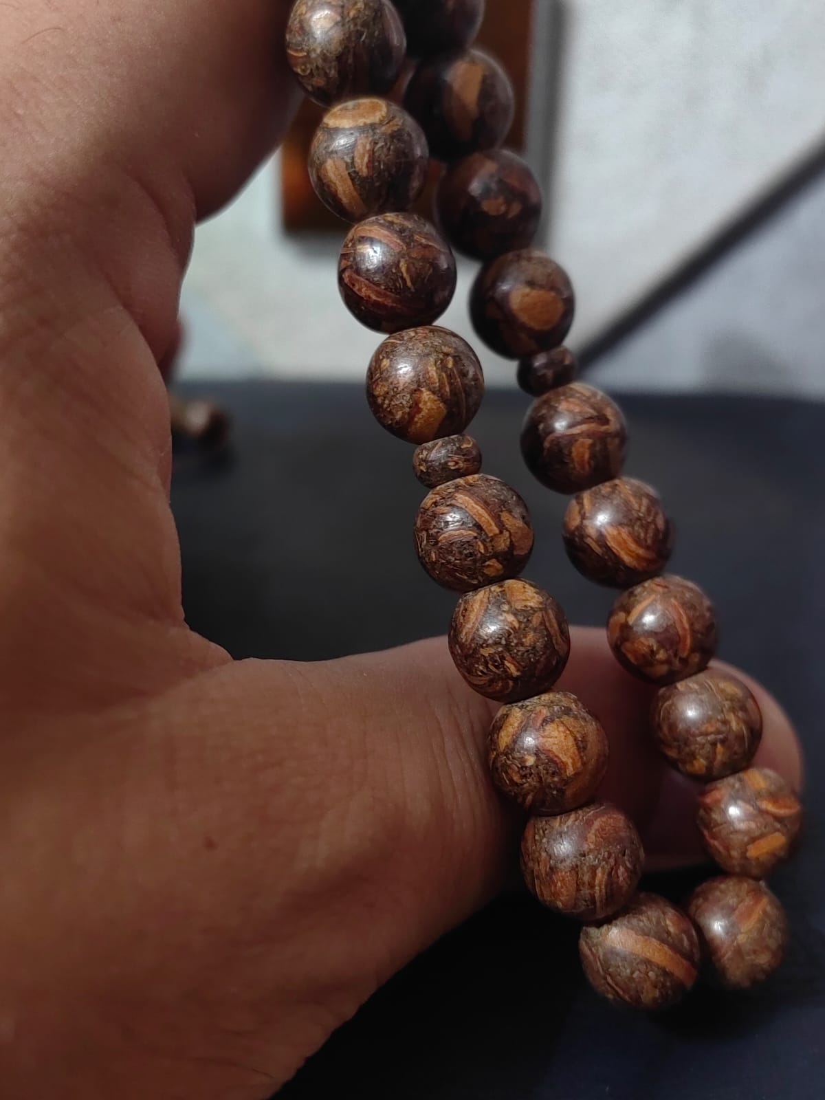 Mis Kokulu Tarçın Ağacı (Küre Kesim)