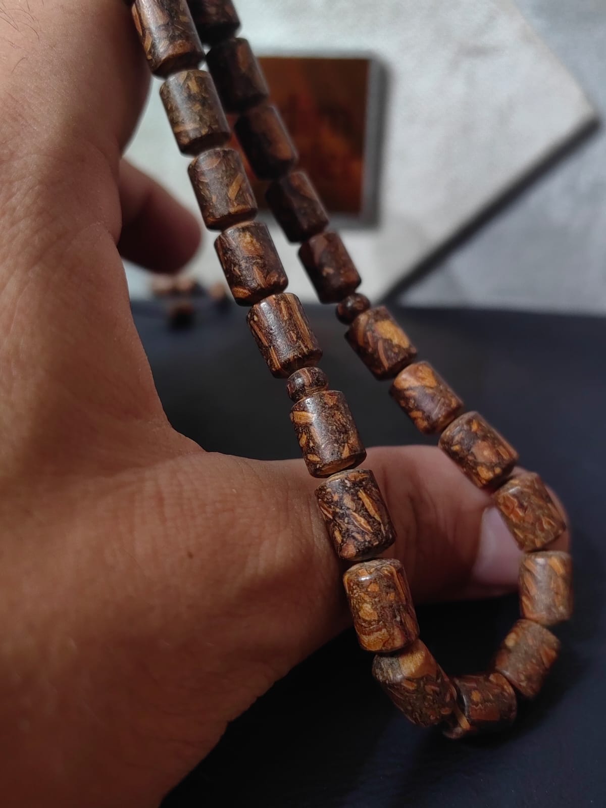 Mis Kokulu Tarçın Ağacı